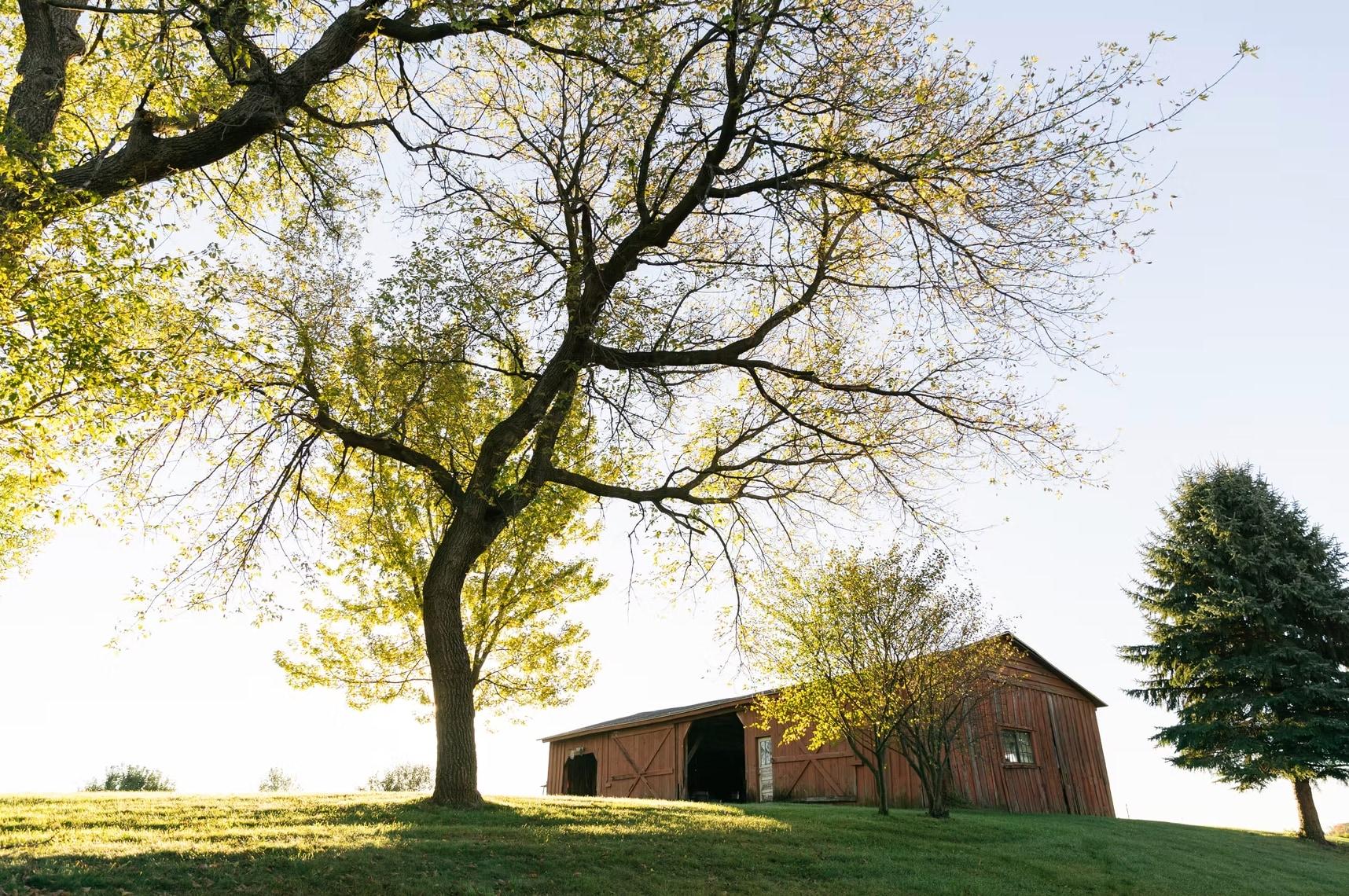 Shepherd's Hill Farm 1
